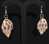 Seashells  Design Drop Earring